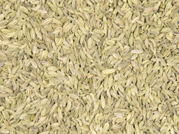 Fennel Seeds 1kg